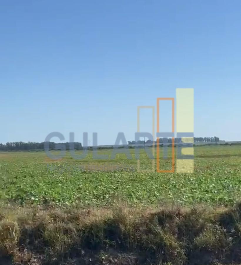 Fazenda, 600 hectares - Foto 12