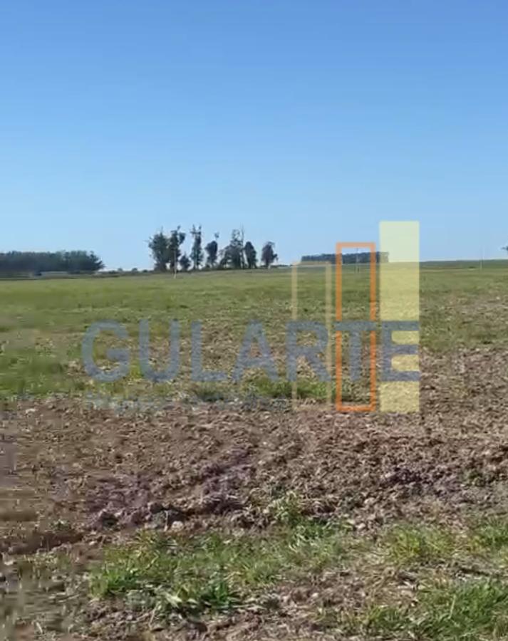 Fazenda, 600 hectares - Foto 10