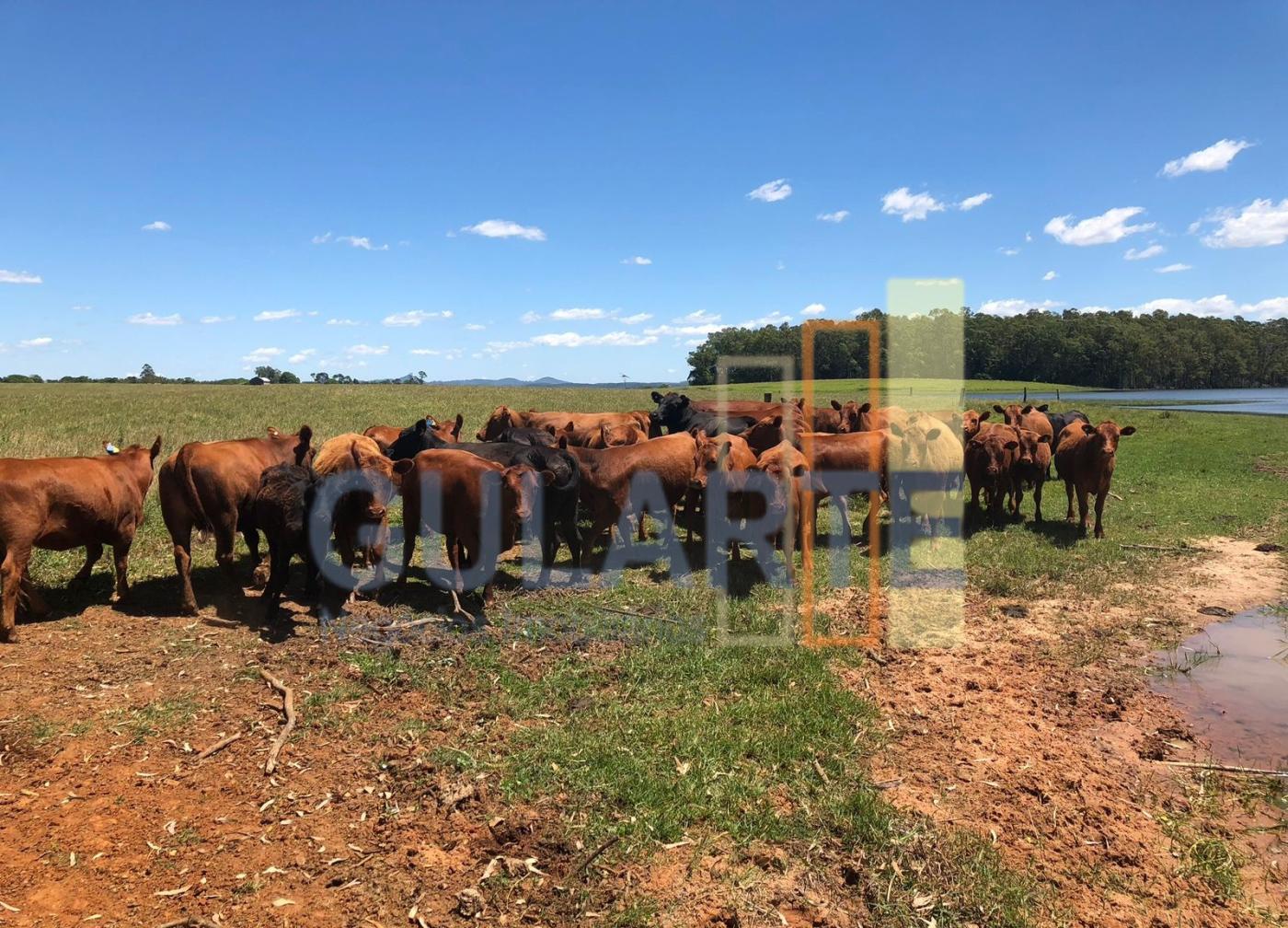 Fazenda à venda, 372m² - Foto 8