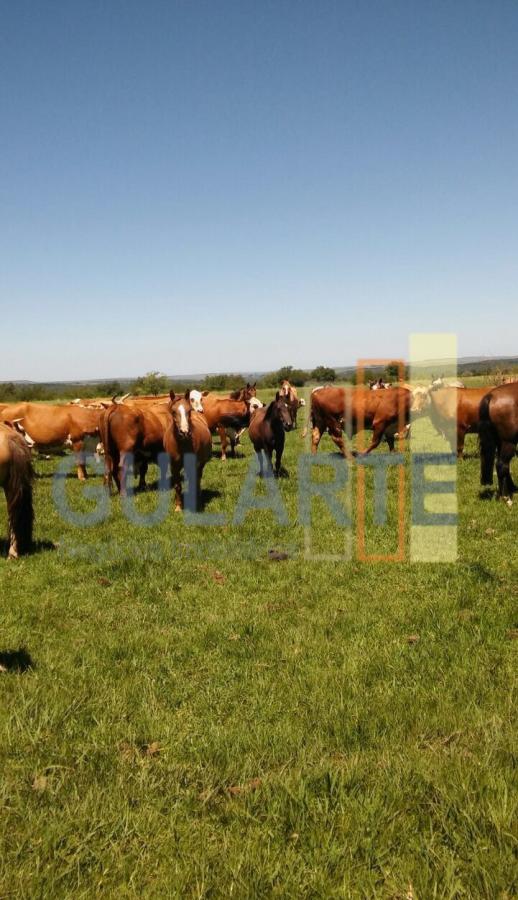 Fazenda à venda, 372m² - Foto 9