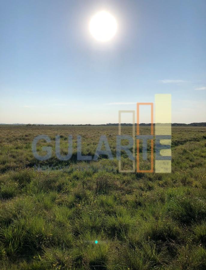 Fazenda à venda, 372m² - Foto 1