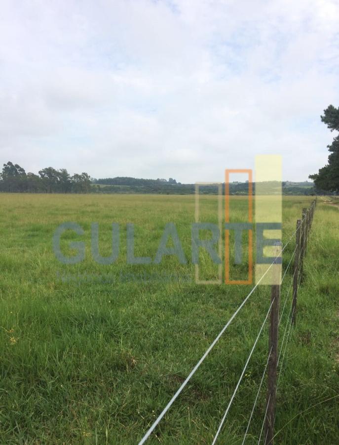 Fazenda à venda, 372m² - Foto 6