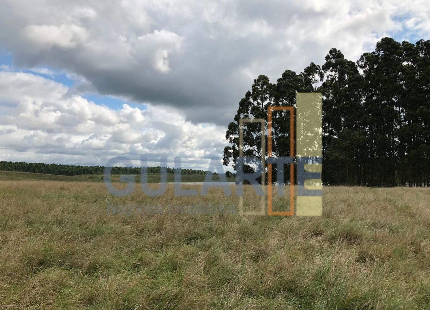 Fazenda à venda, 372m² - Foto 5
