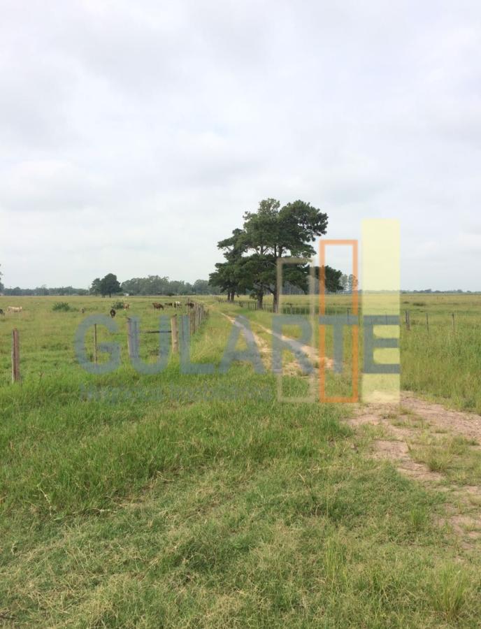 Fazenda à venda, 372m² - Foto 3