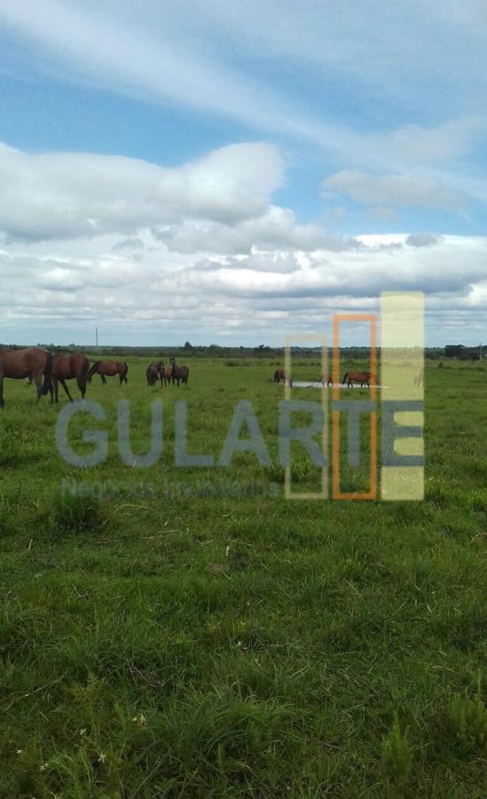 Fazenda à venda, 372m² - Foto 2