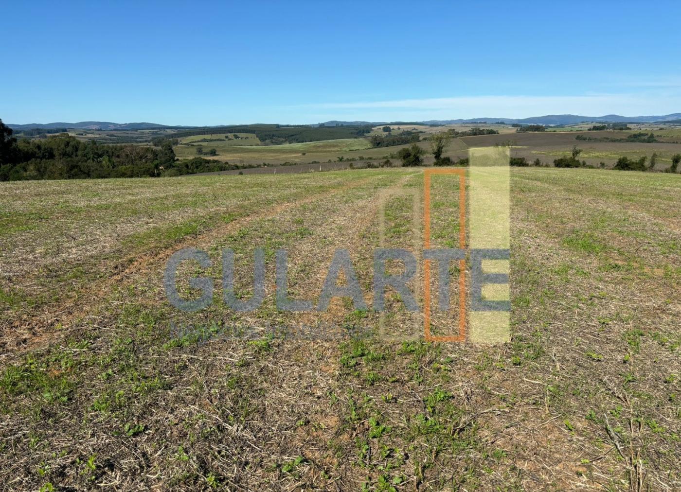 Fazenda, 244 hectares - Foto 8