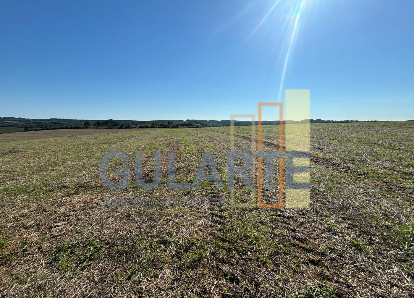 Fazenda, 244 hectares - Foto 10