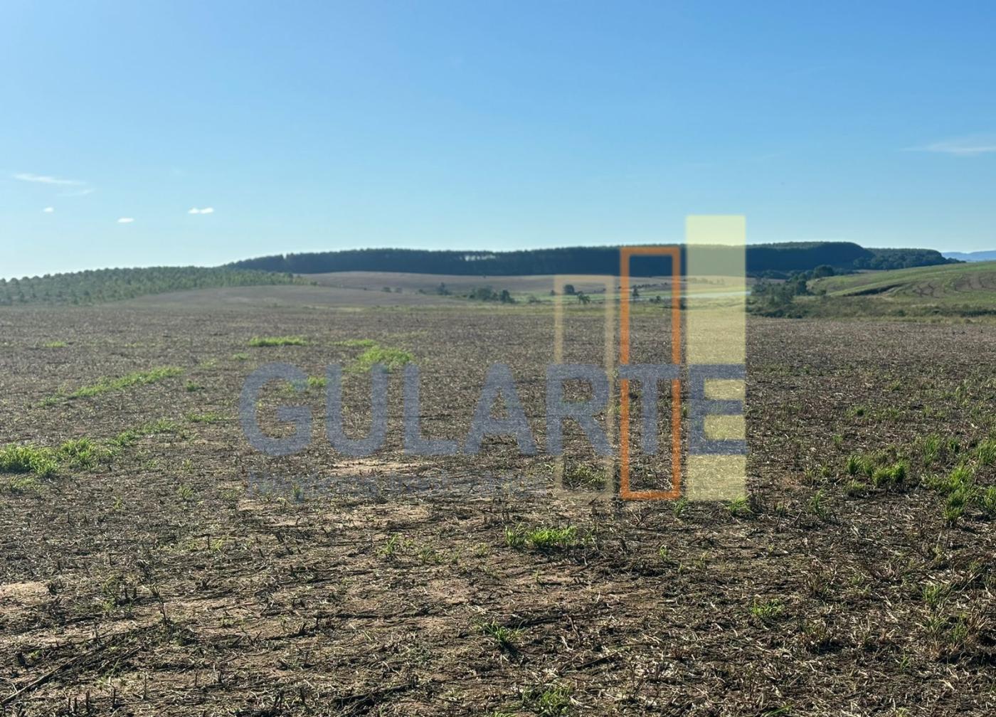 Fazenda, 244 hectares - Foto 9