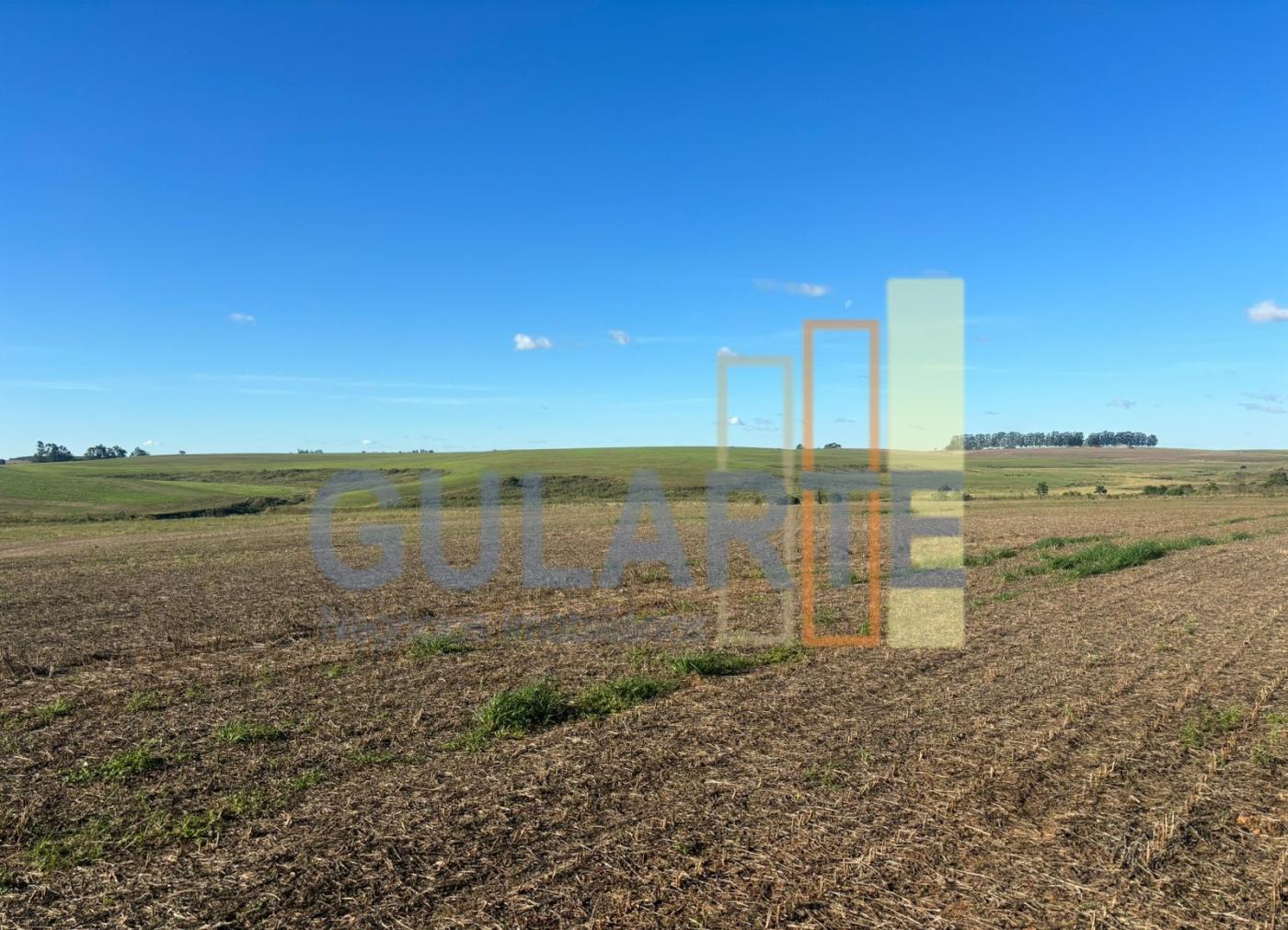 Fazenda, 244 hectares - Foto 12