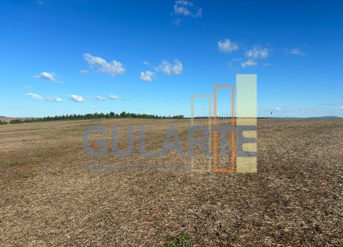 Fazenda, 244 hectares - Foto 11