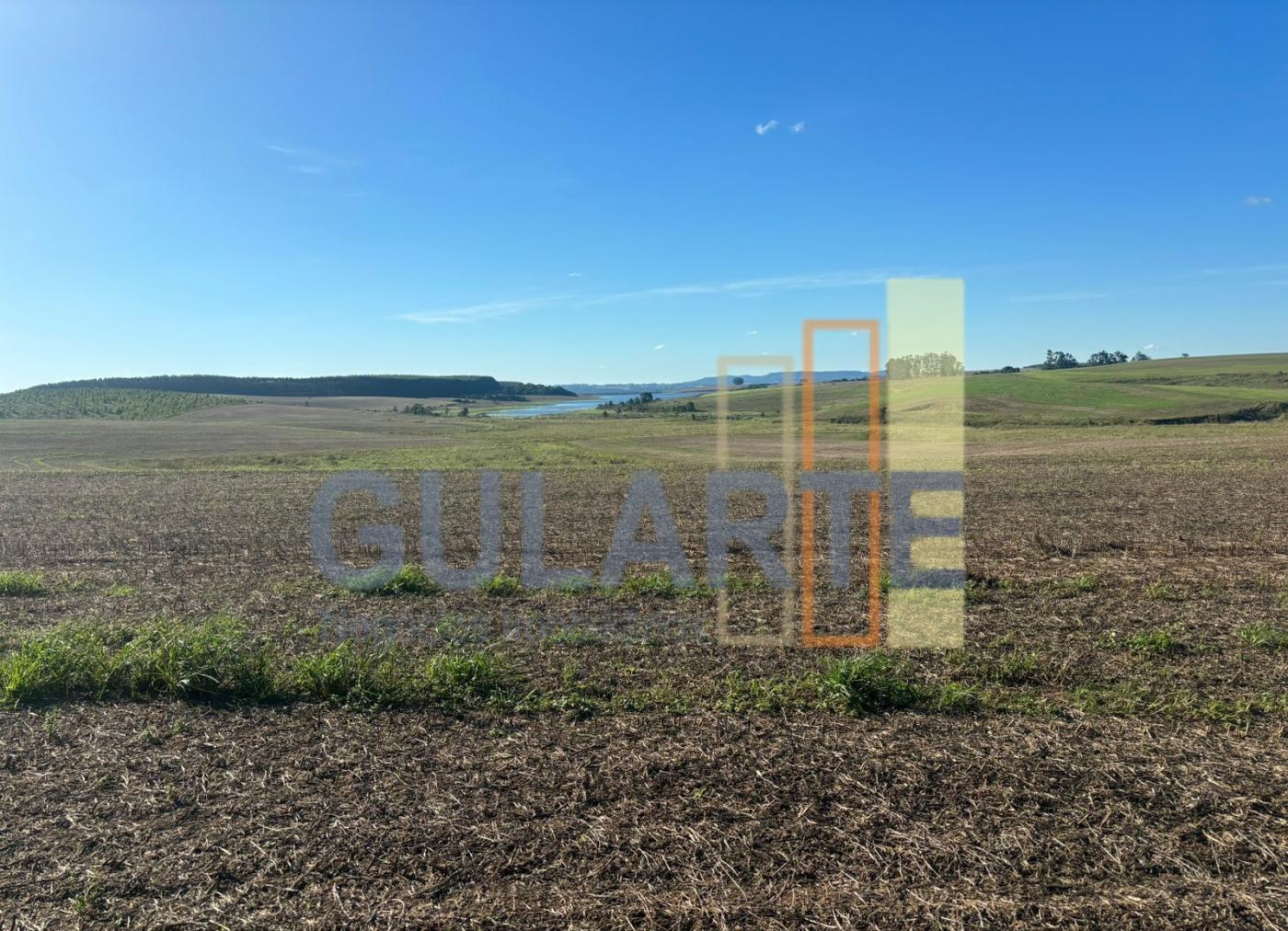 Fazenda, 244 hectares - Foto 13