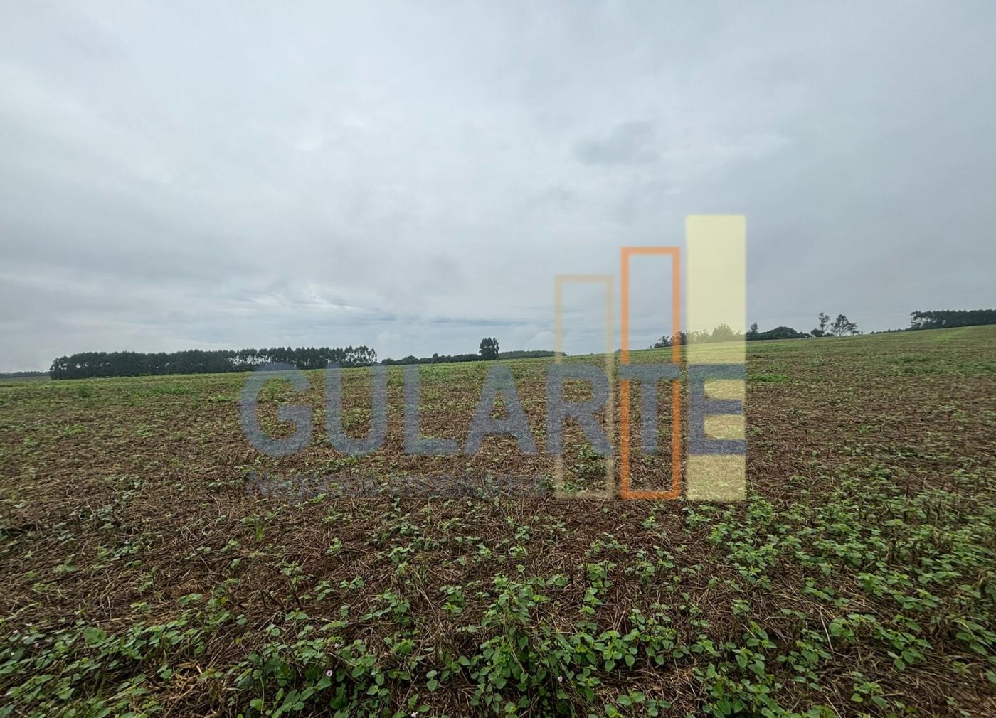 Fazenda, 244 hectares - Foto 14