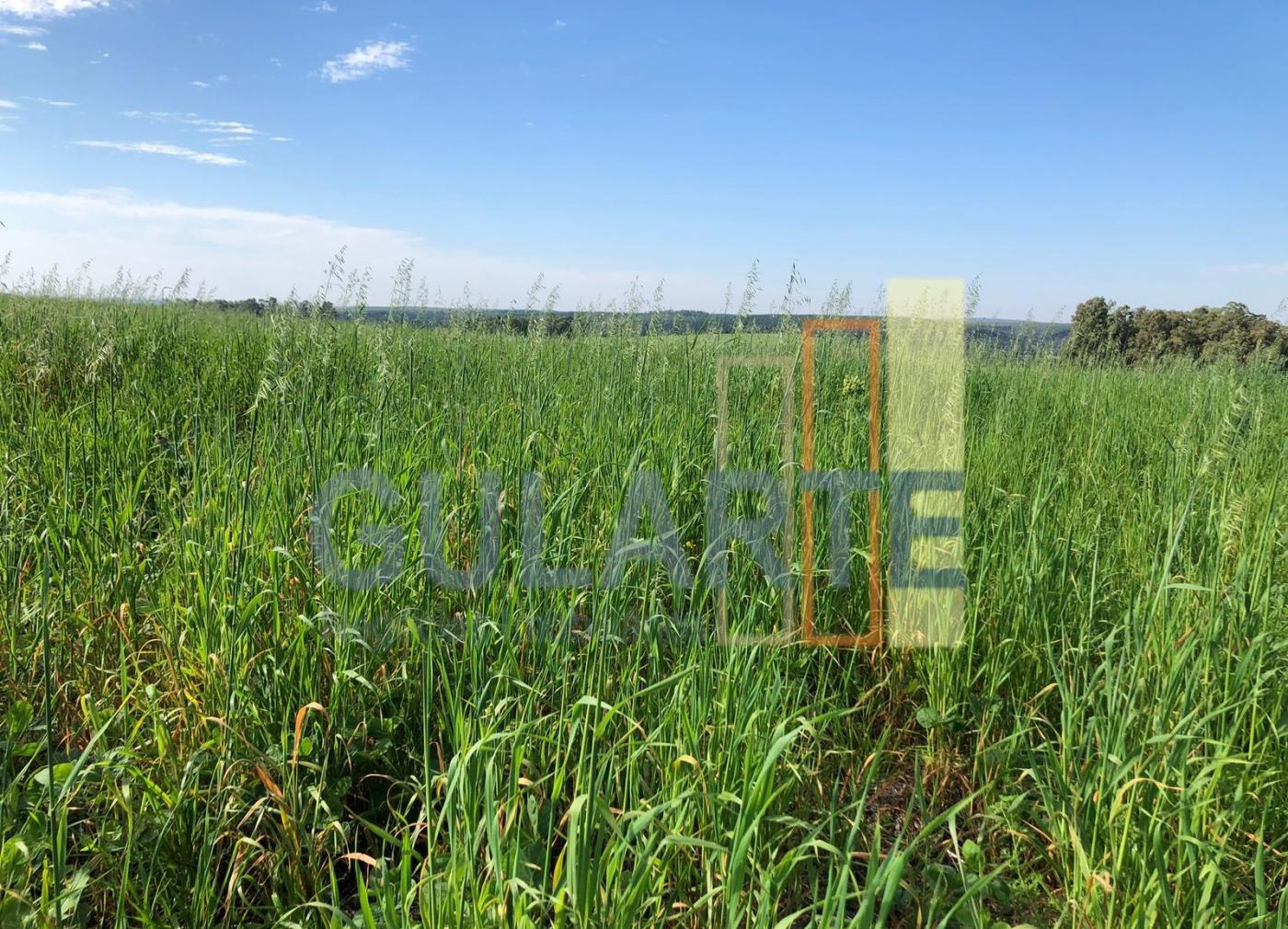 Fazenda, 244 hectares - Foto 2