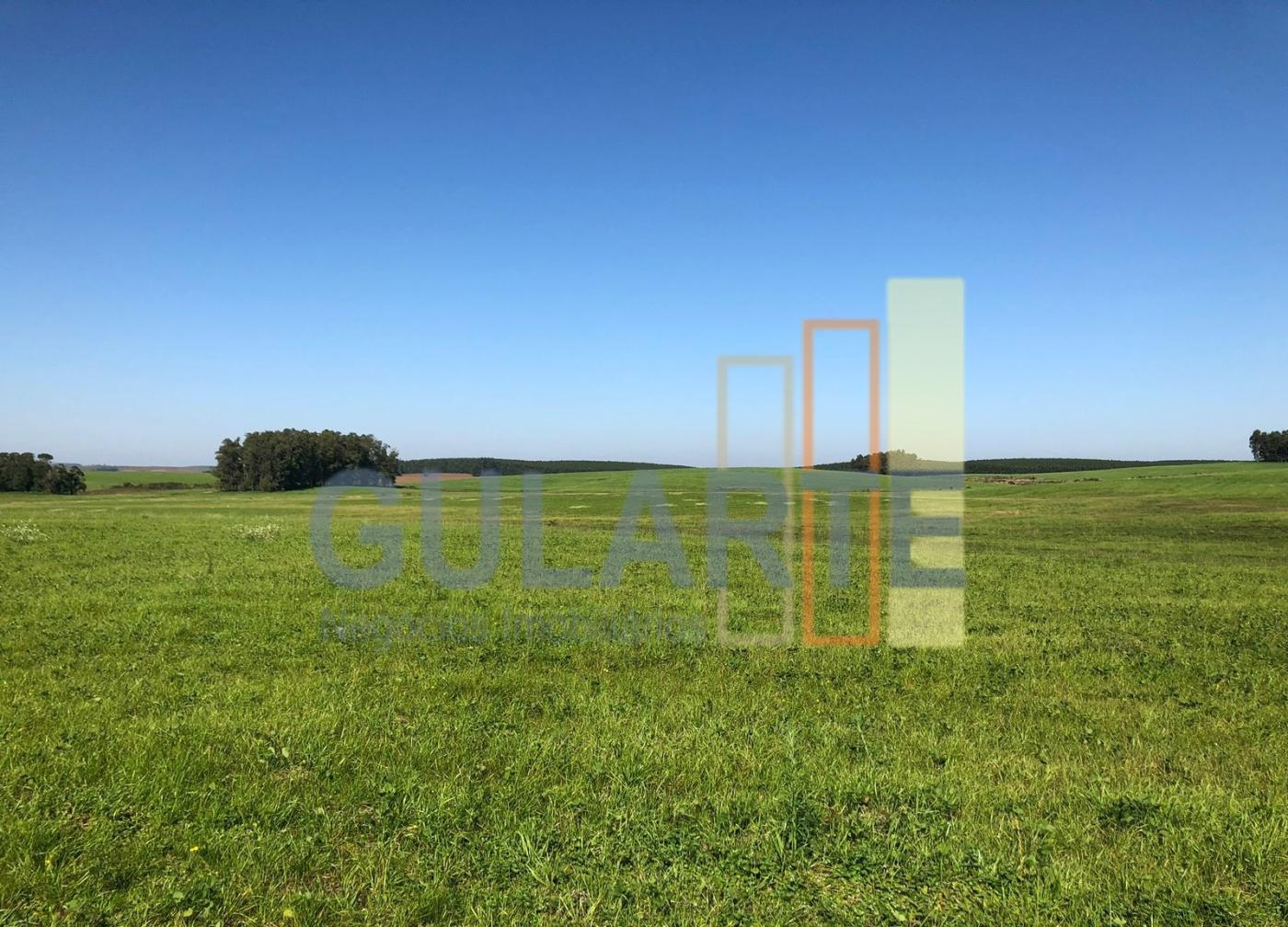 Fazenda, 244 hectares - Foto 1