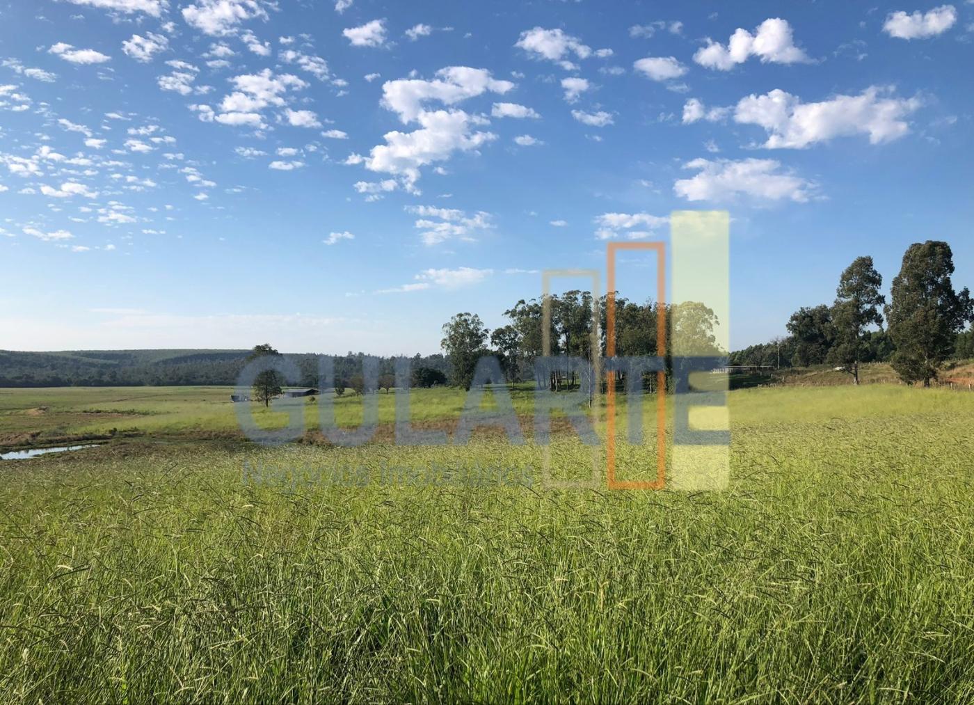 Fazenda, 244 hectares - Foto 5