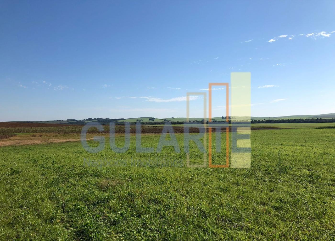 Fazenda, 244 hectares - Foto 4