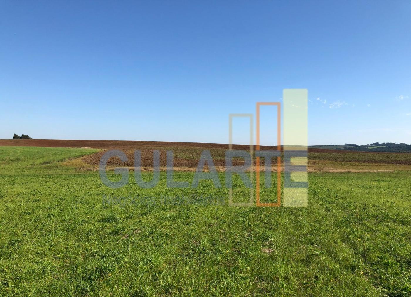 Fazenda, 244 hectares - Foto 6