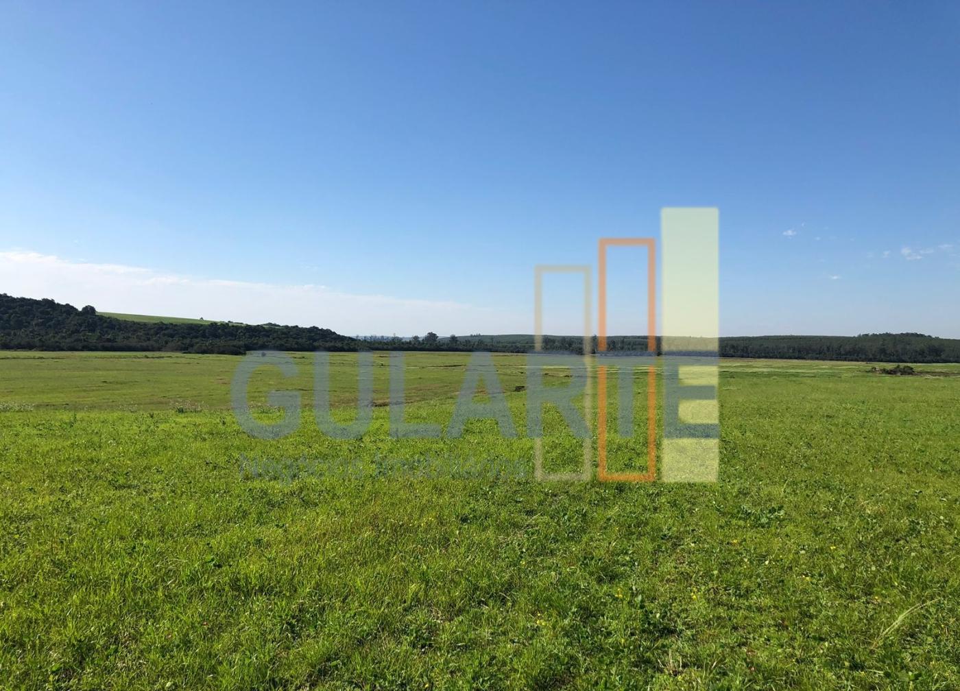 Fazenda, 244 hectares - Foto 3