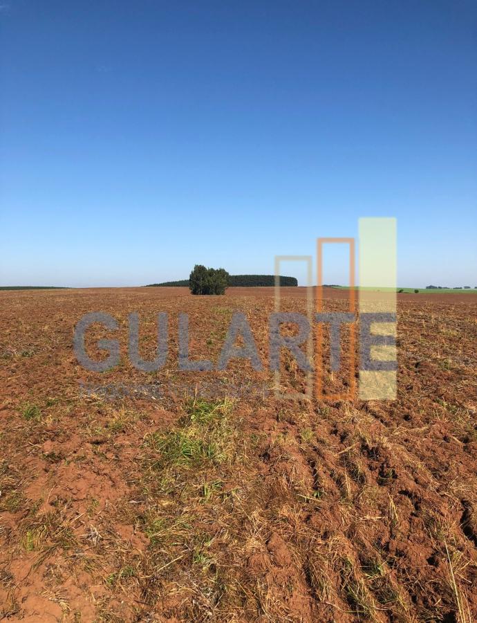 Fazenda, 244 hectares - Foto 15