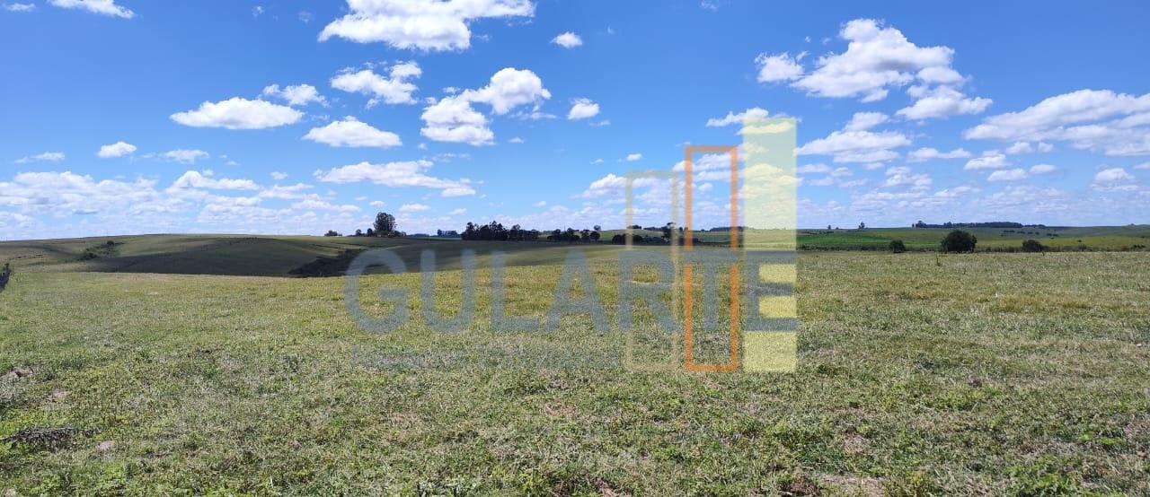 Fazenda, 320 hectares - Foto 7