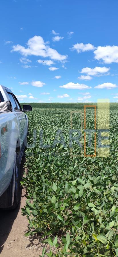 Fazenda, 320 hectares - Foto 8