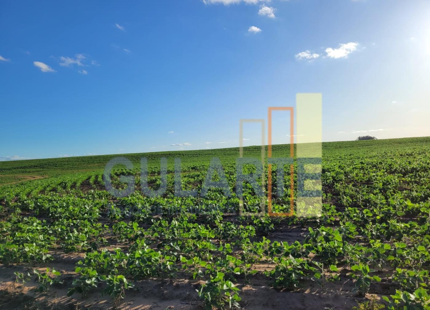 Fazenda, 320 hectares - Foto 5