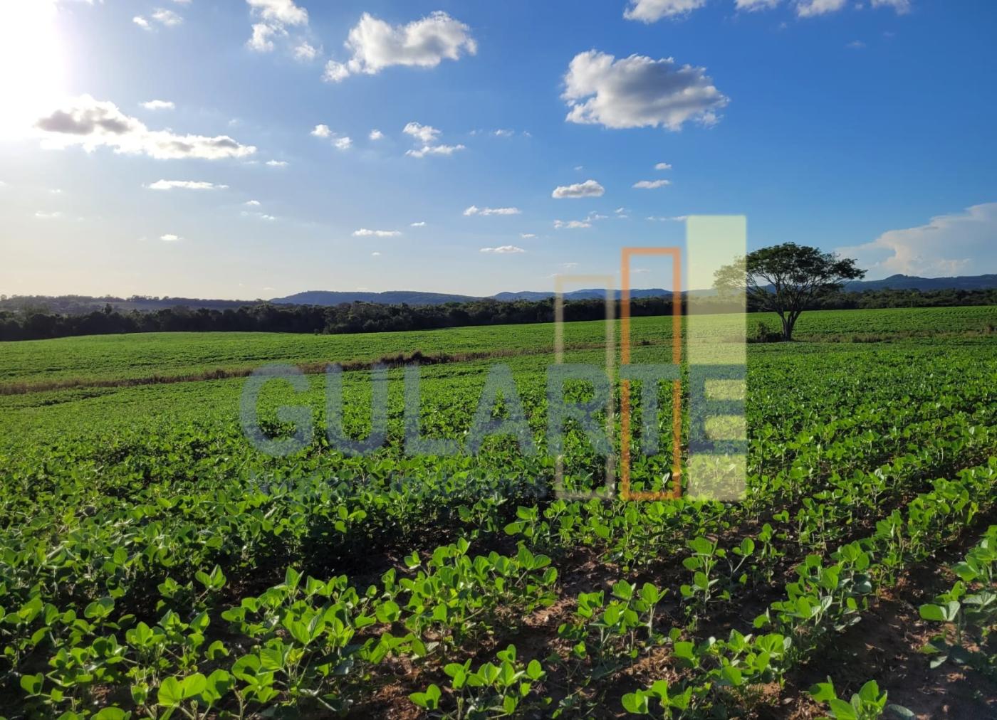 Fazenda, 320 hectares - Foto 3