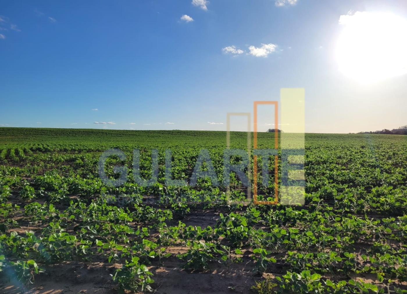 Fazenda, 320 hectares - Foto 1