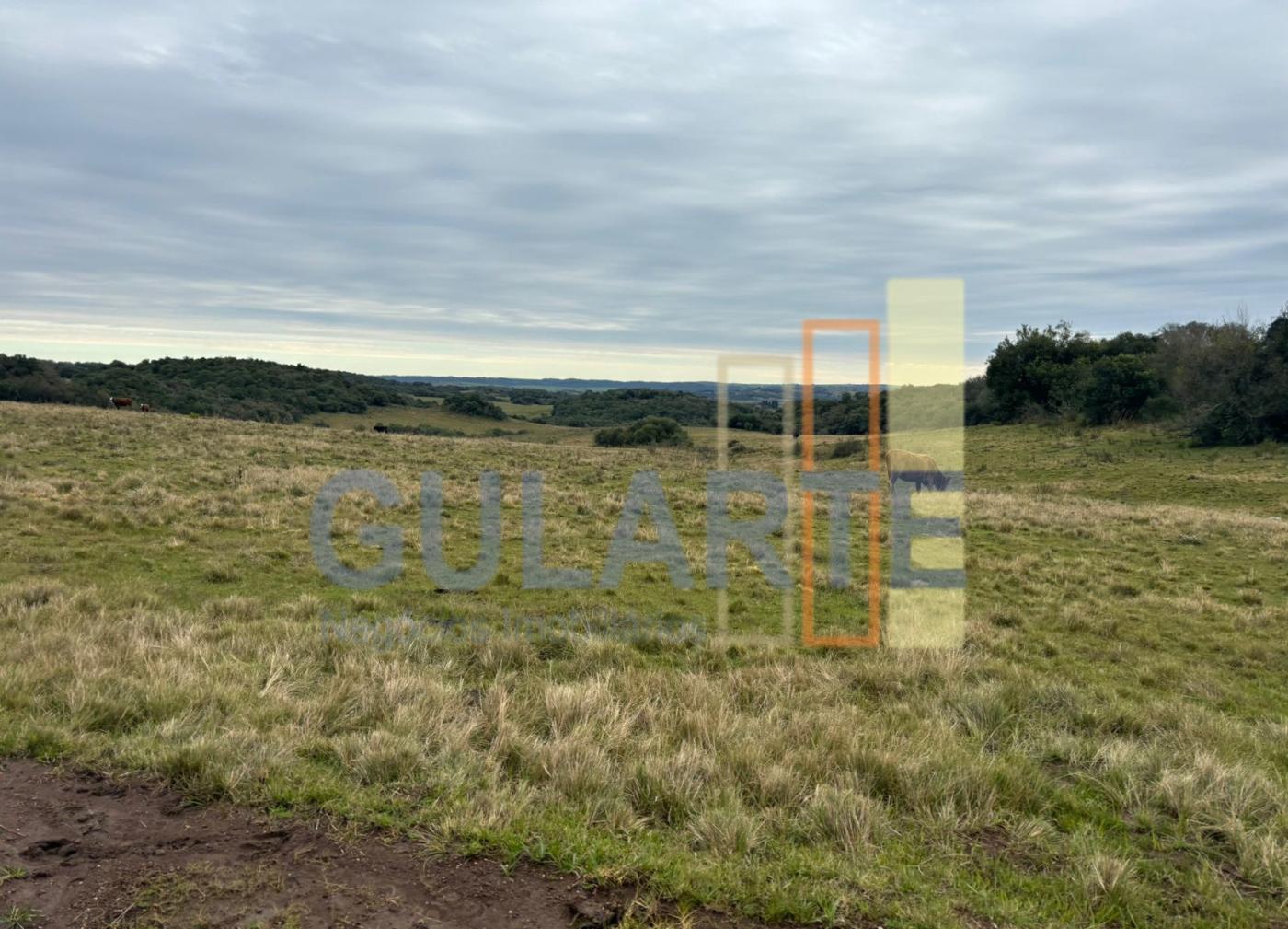 Fazenda, 241 hectares - Foto 2