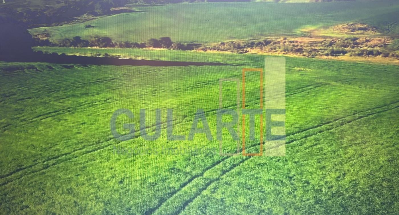 Fazenda, 241 hectares - Foto 4