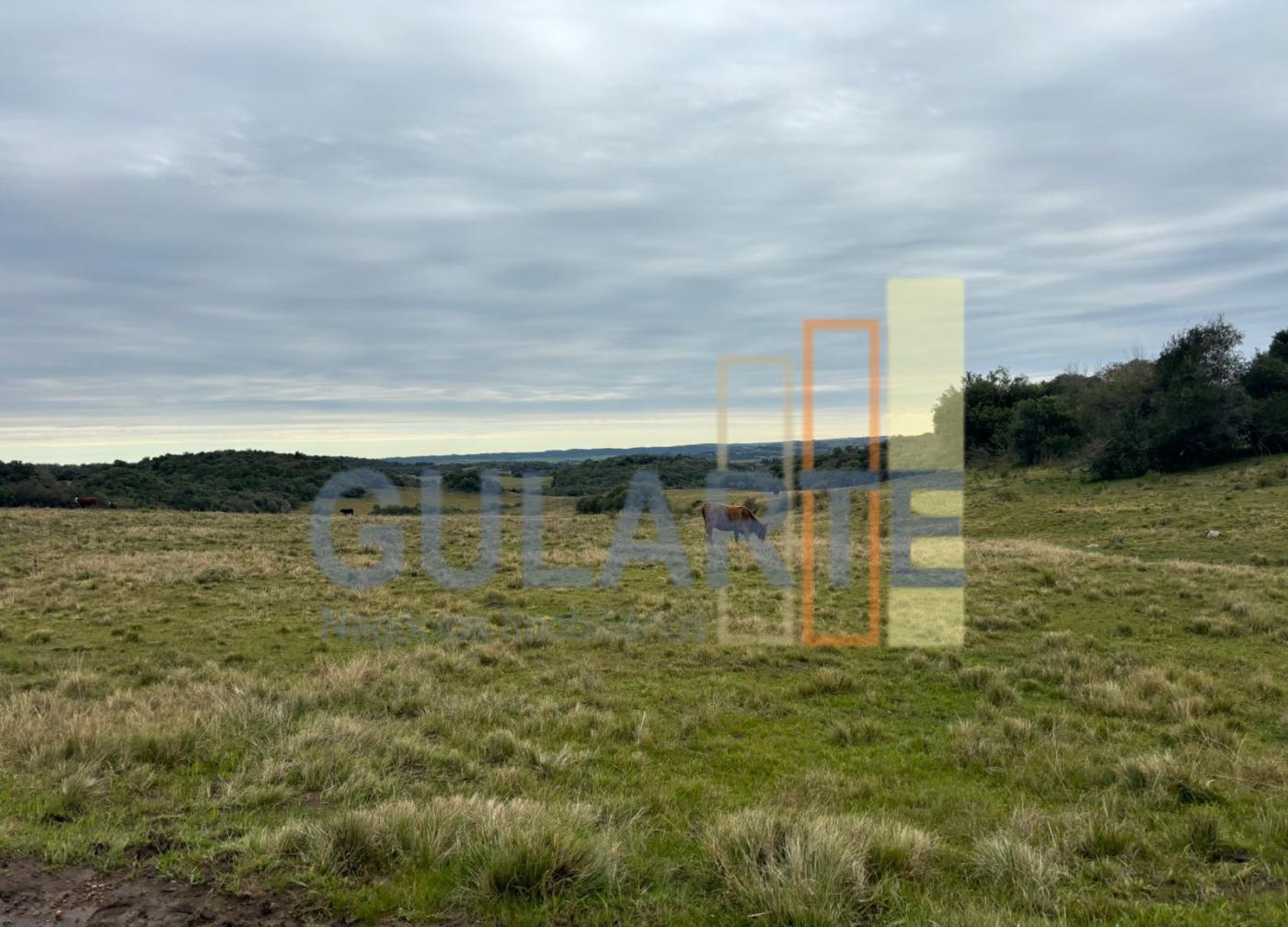 Fazenda, 241 hectares - Foto 3