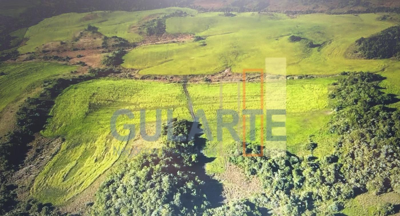 Fazenda, 241 hectares - Foto 6