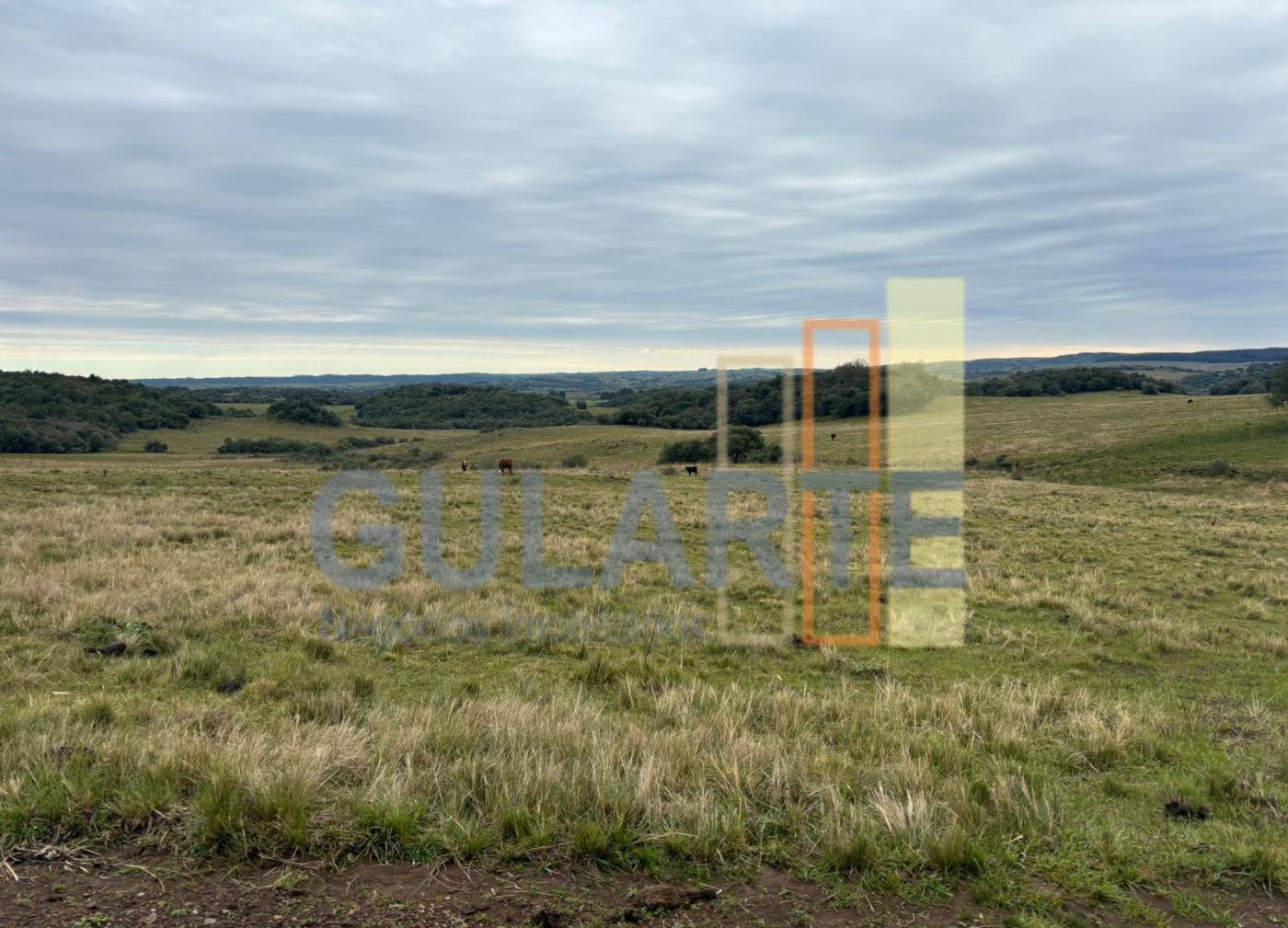 Fazenda, 241 hectares - Foto 7