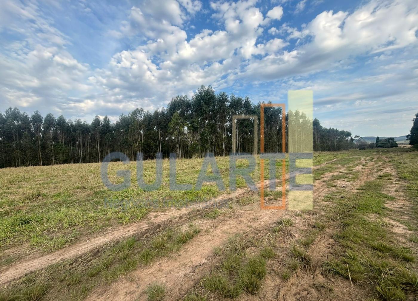 Fazenda, 56 hectares - Foto 2