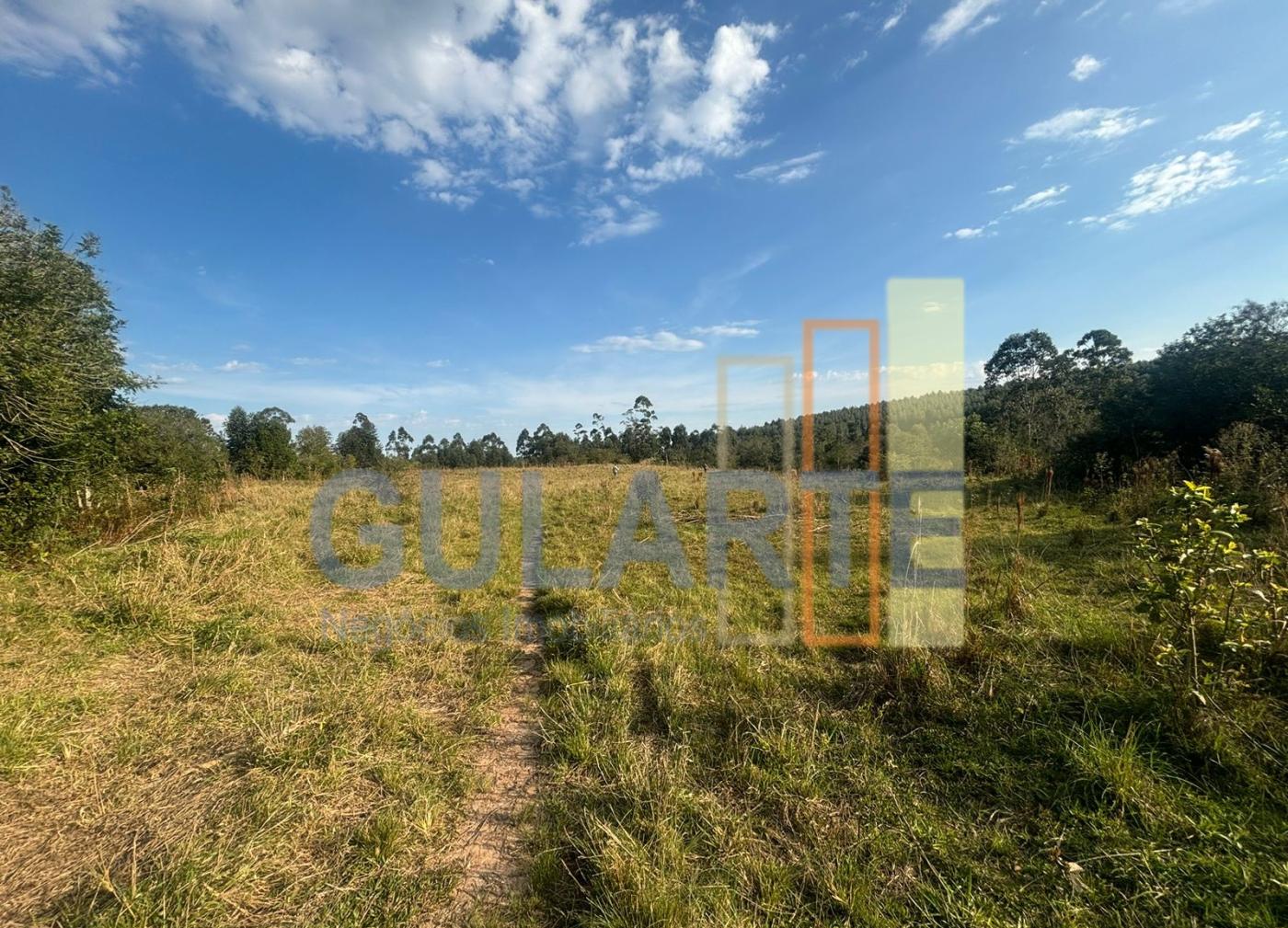 Fazenda, 56 hectares - Foto 6