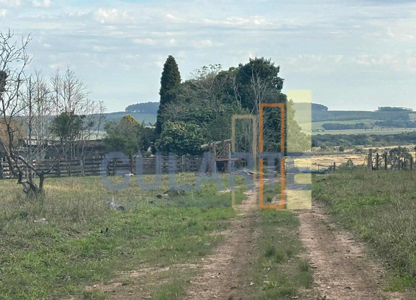 Fazenda, 56 hectares - Foto 8