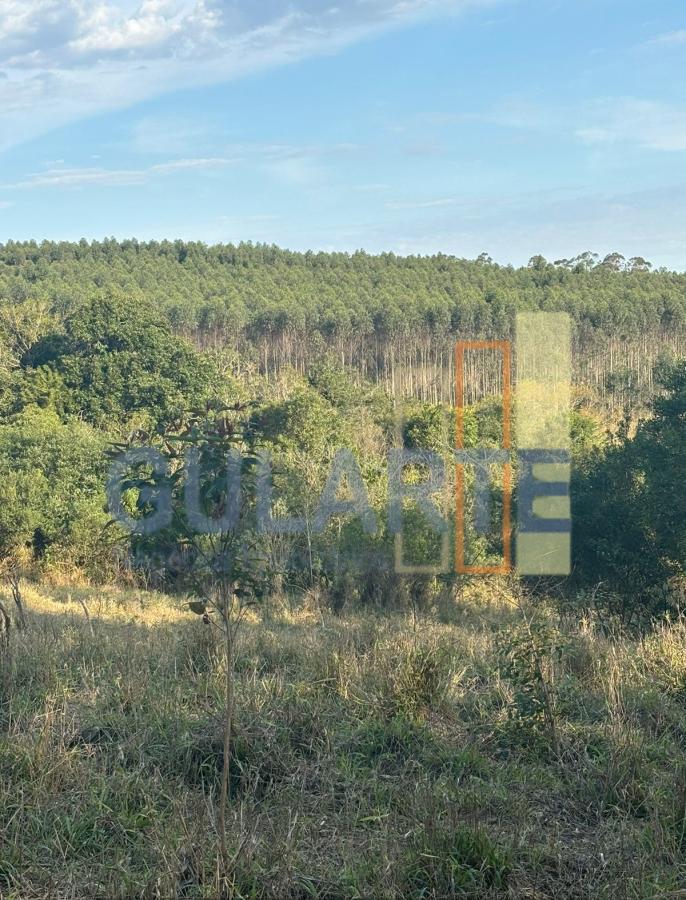 Fazenda, 56 hectares - Foto 9