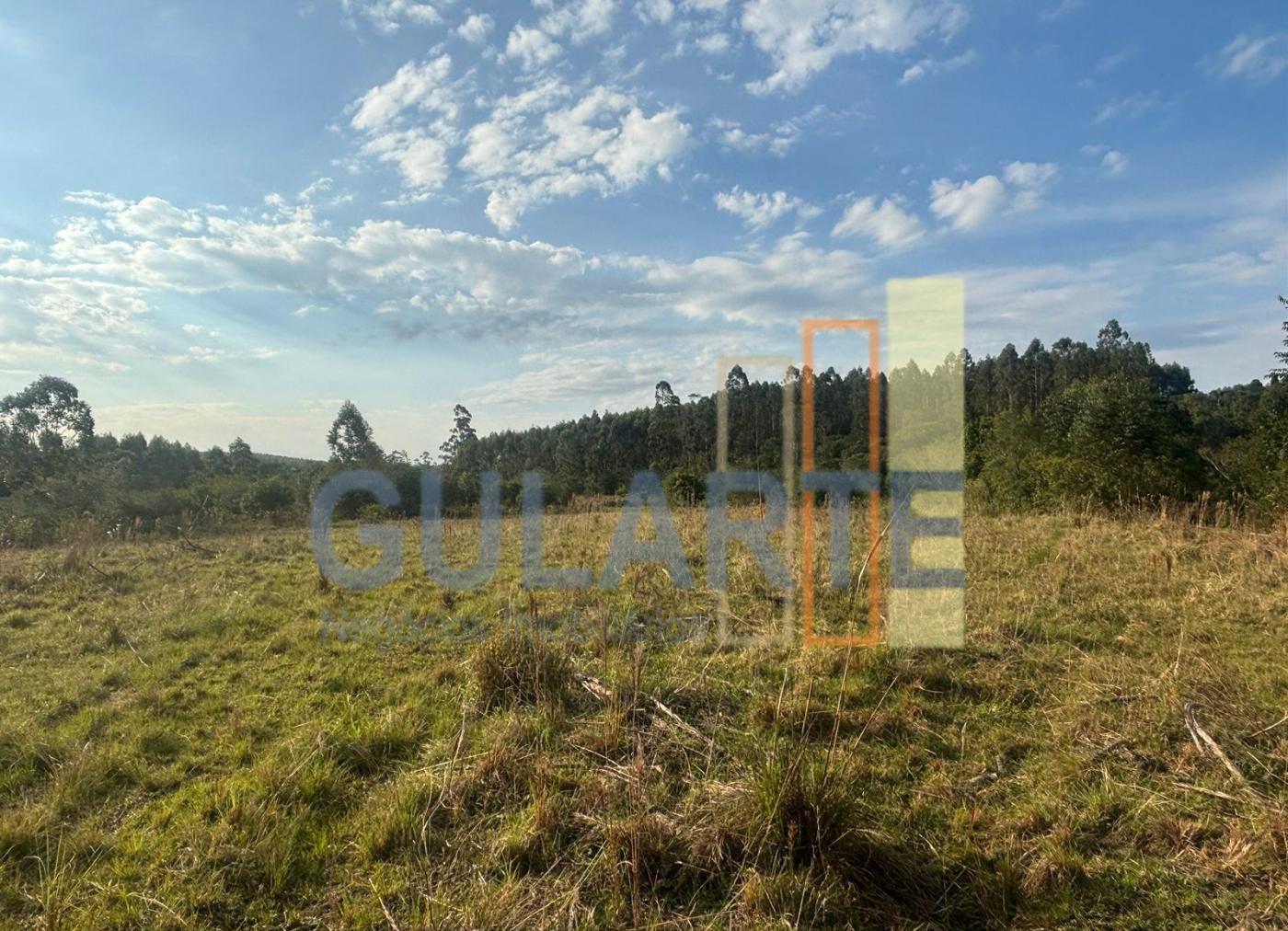 Fazenda, 56 hectares - Foto 7