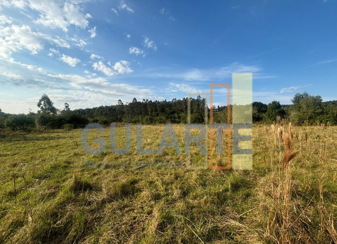 Fazenda, 56 hectares - Foto 10