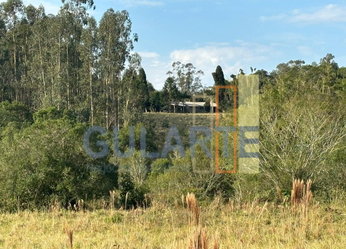 Fazenda, 56 hectares - Foto 12