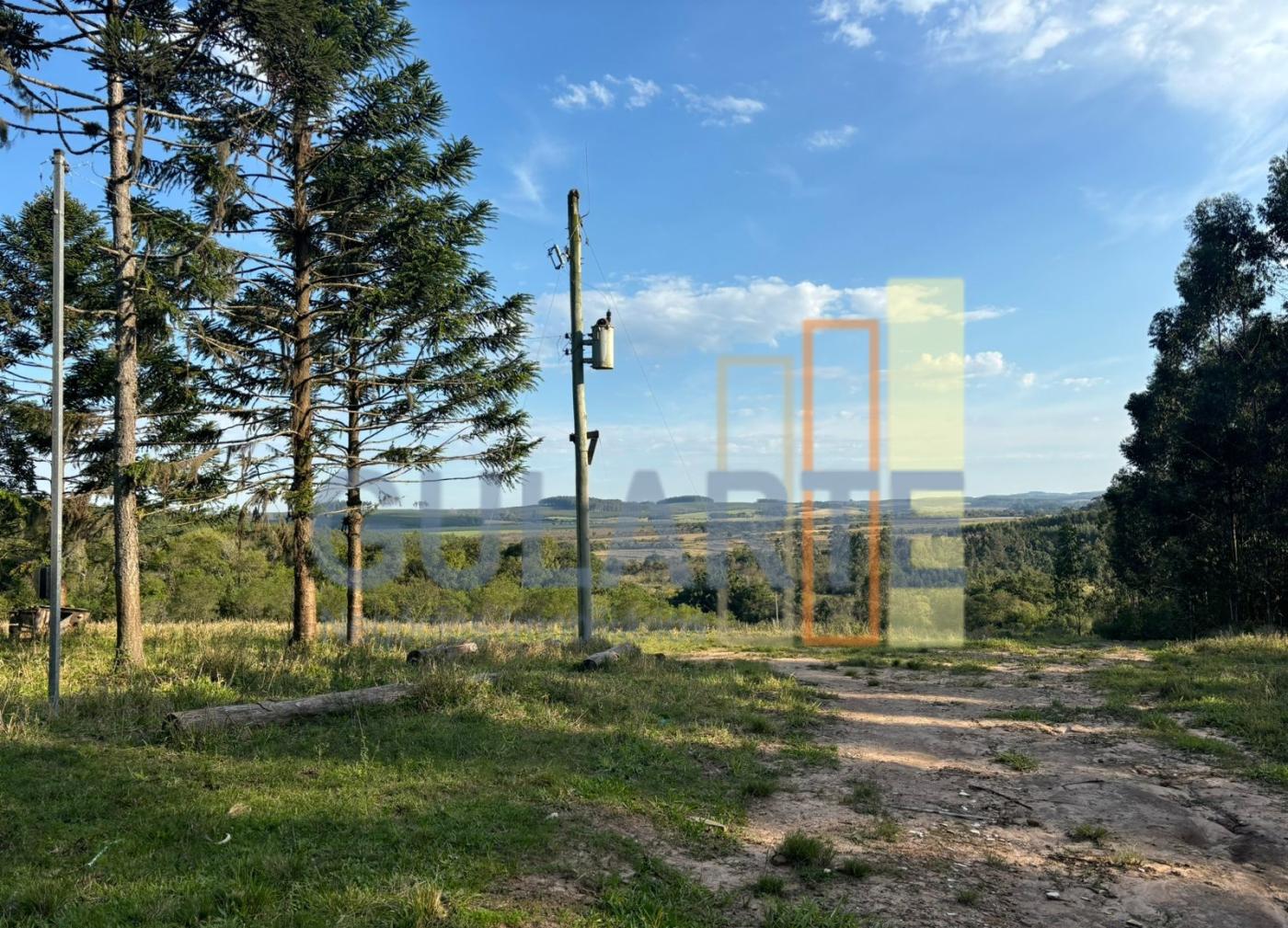 Fazenda, 56 hectares - Foto 14