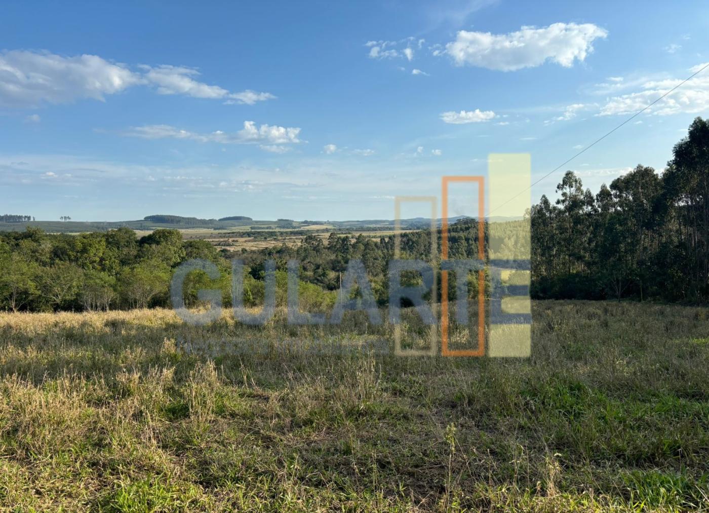 Fazenda, 56 hectares - Foto 15