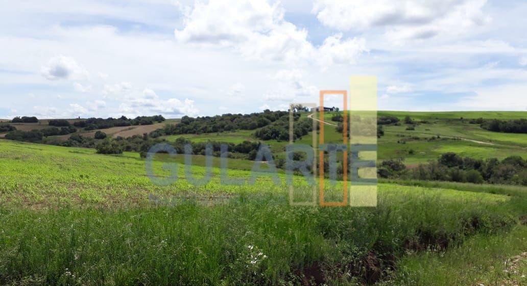 Fazenda, 903 hectares - Foto 1