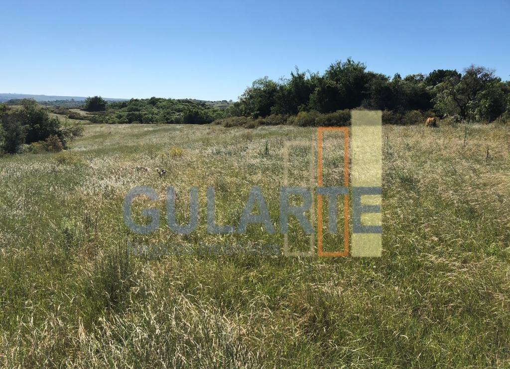 Fazenda, 903 hectares - Foto 2