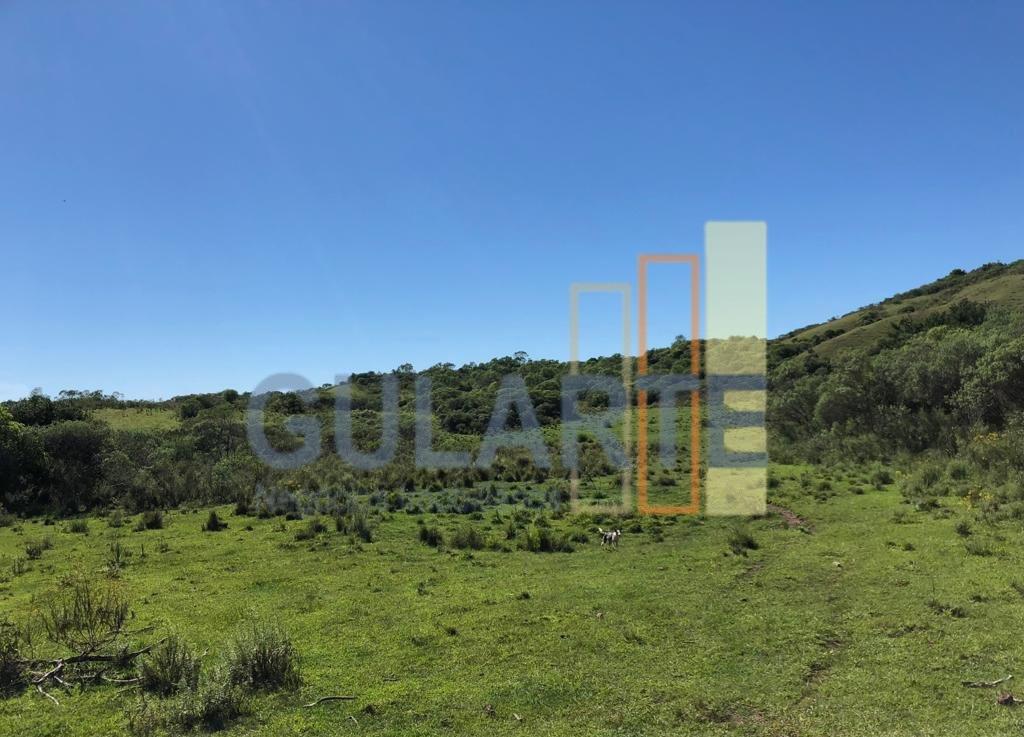 Fazenda, 903 hectares - Foto 6