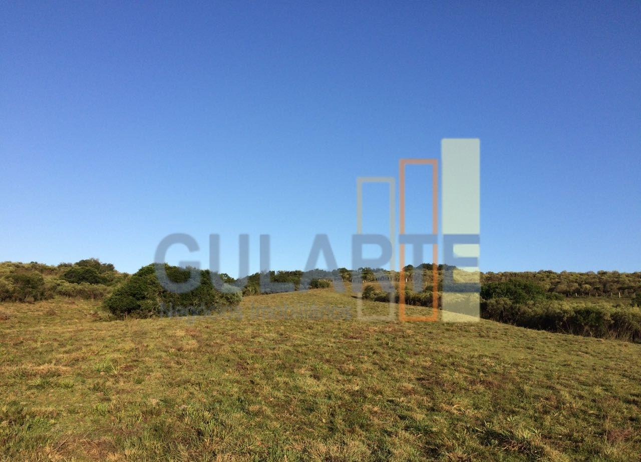 Fazenda, 903 hectares - Foto 5