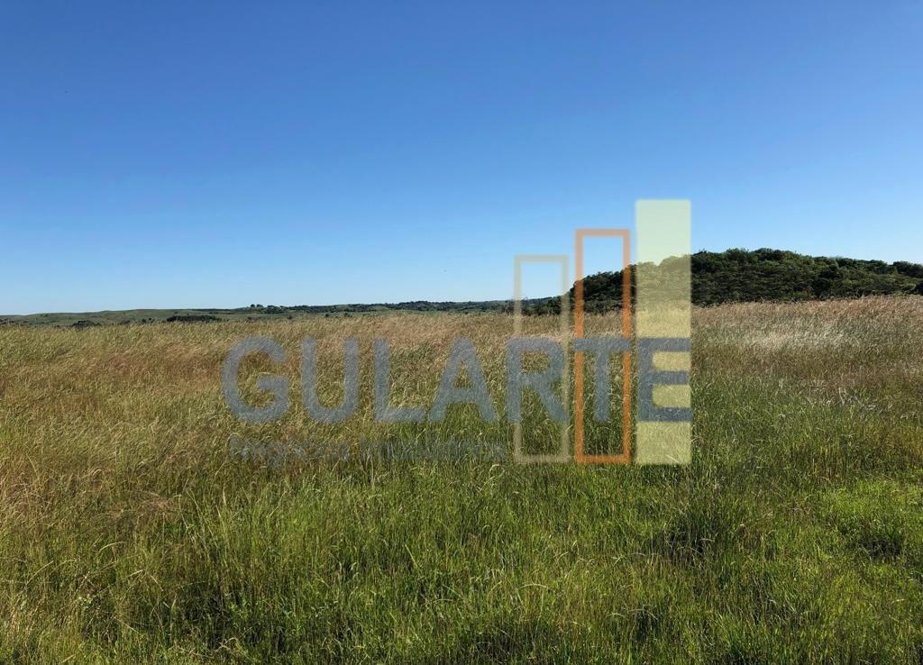 Fazenda, 903 hectares - Foto 4