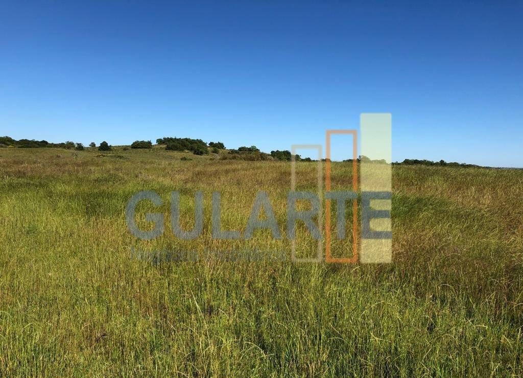 Fazenda, 903 hectares - Foto 3