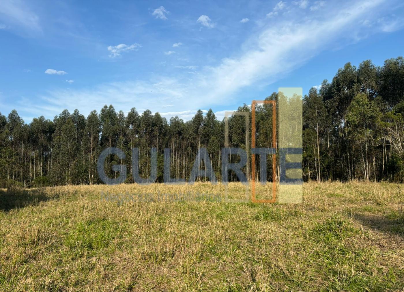 Fazenda, 903 hectares - Foto 9