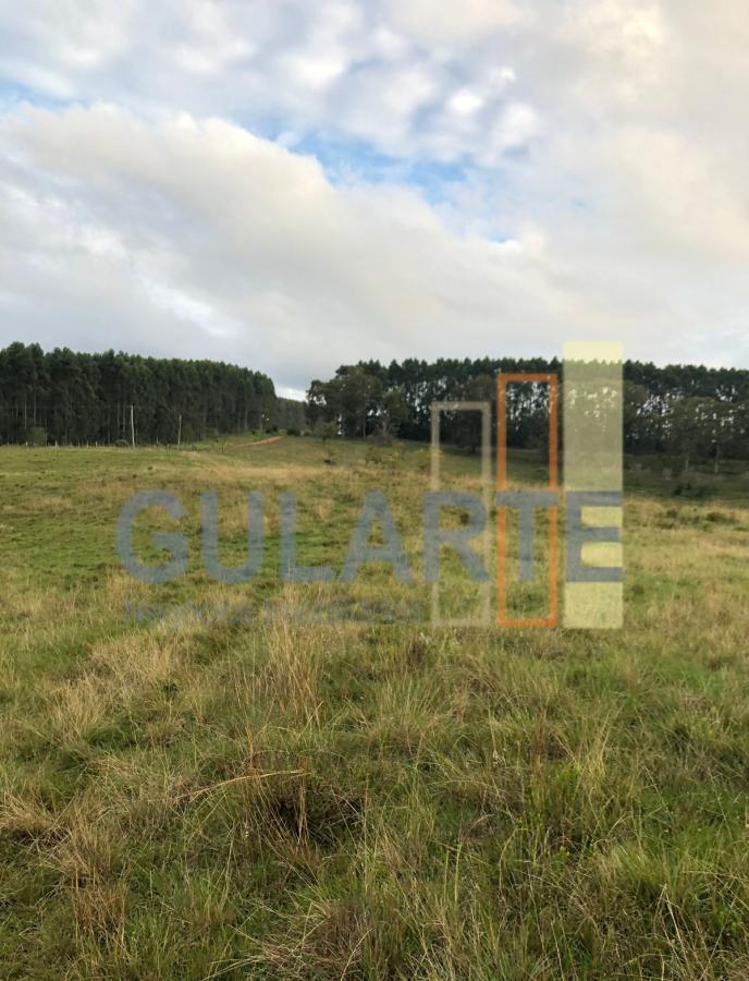 Fazenda, 903 hectares - Foto 11